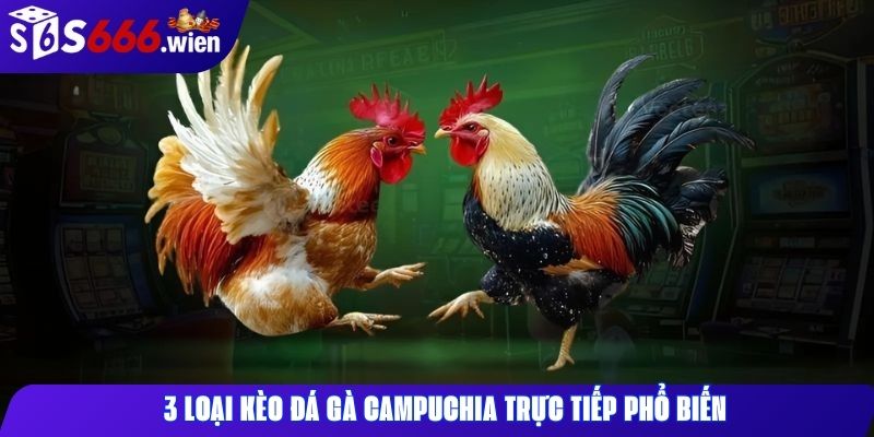 3 loại kèo đá gà Campuchia trực tiếp phổ biến