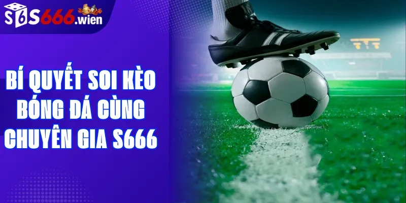 Bí quyết soi kèo bóng đá cùng chuyên gia S666