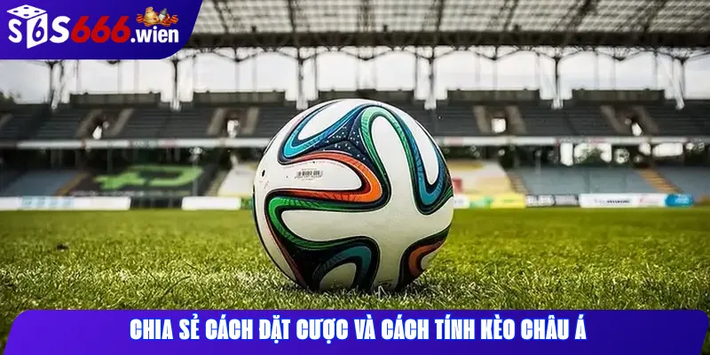 Chia sẻ cách đặt cược và cách tính kèo châu Á
