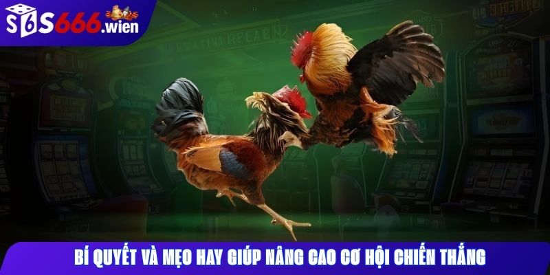Bí quyết và mẹo hay giúp nâng cao cơ hội chiến thắng