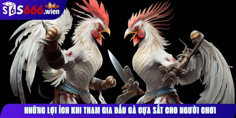 Những lợi ích khi tham gia đấu gà cựa sắt cho người chơi