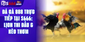 Đá gà 888 trực tiếp tại S666