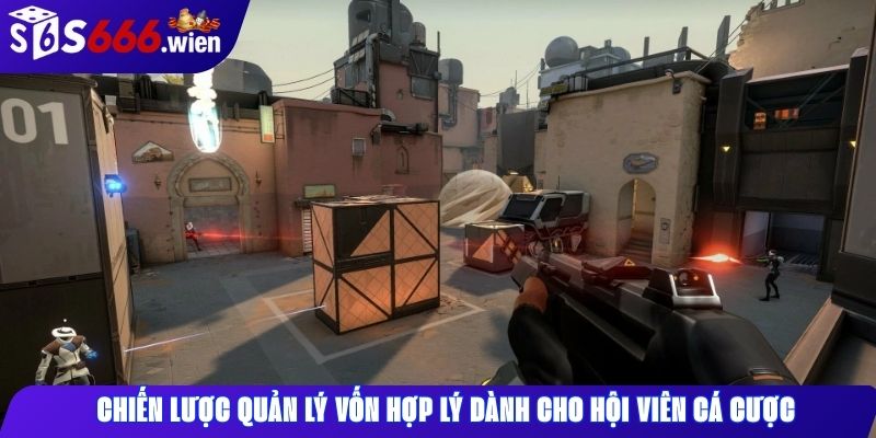 Chiến lược quản lý vốn hợp lý dành cho hội viên cá cược