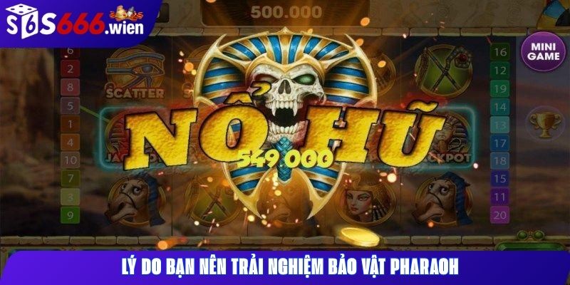 Lý do bạn nên trải nghiệm Bảo Vật Pharaoh